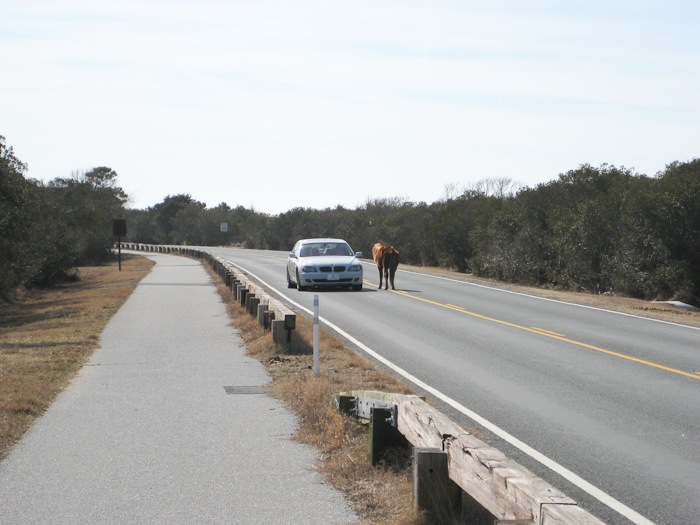 AssateagueIsland_09_02_09_03