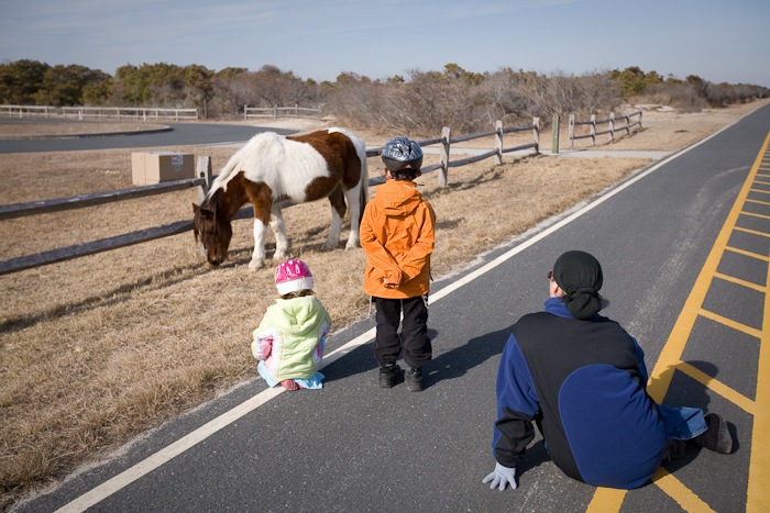 AssateagueIsland_09_02_09_08