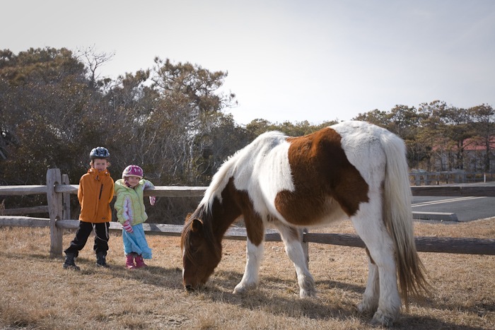 AssateagueIsland_09_02_09_09