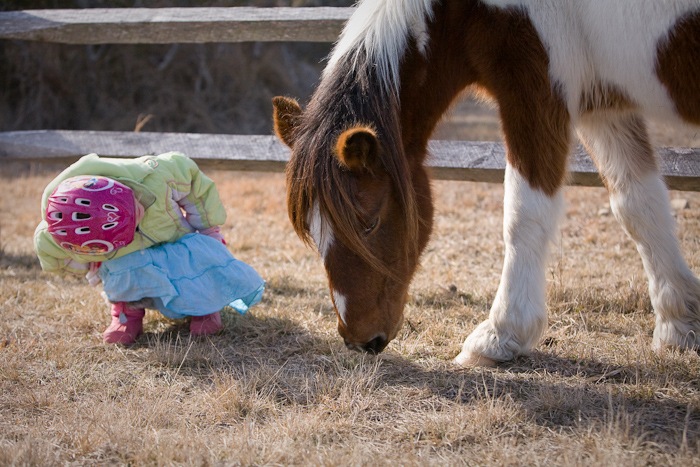 AssateagueIsland_09_02_09_10