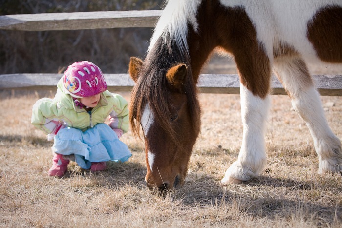 AssateagueIsland_09_02_09_11