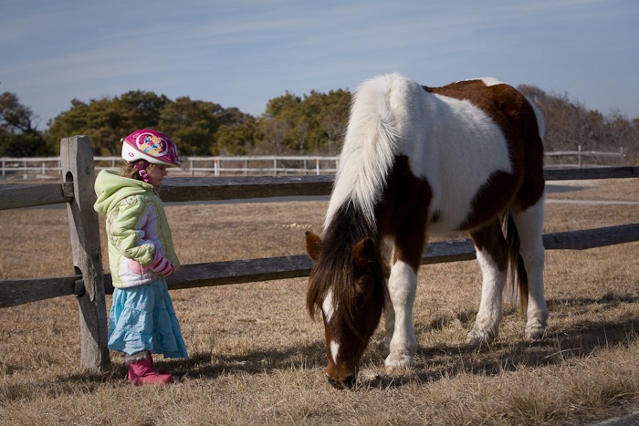 AssateagueIsland_09_02_09_12