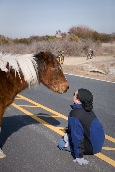 AssateagueIsland_09_02_09_14