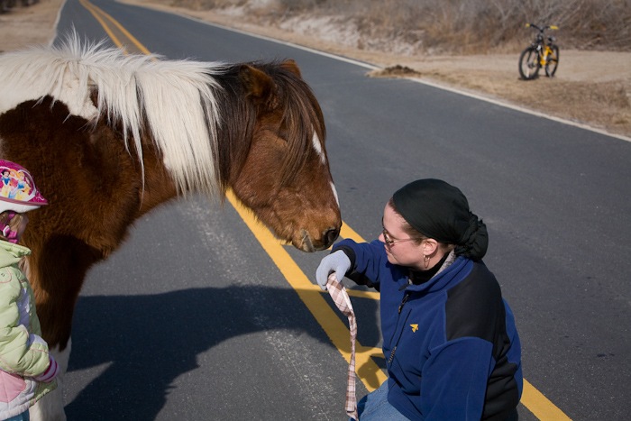 AssateagueIsland_09_02_09_15