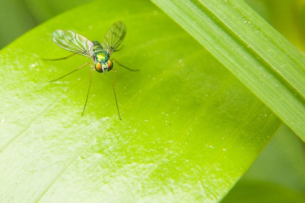 EOS 5D_0428