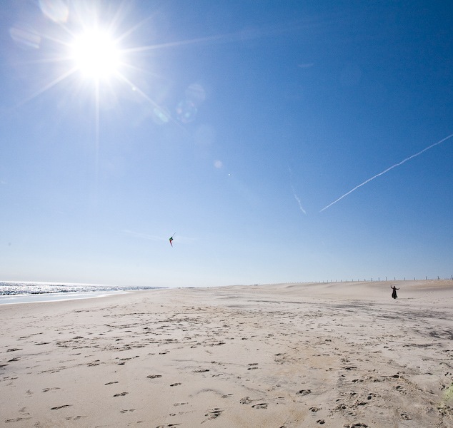 AssateagueIsland_09_02_08_05