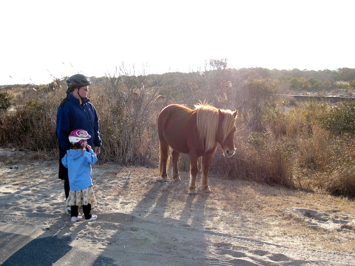 AssateagueIsland_09_02_08_25