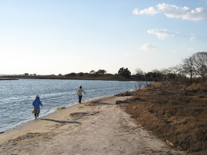 AssateagueIsland_09_02_08_26