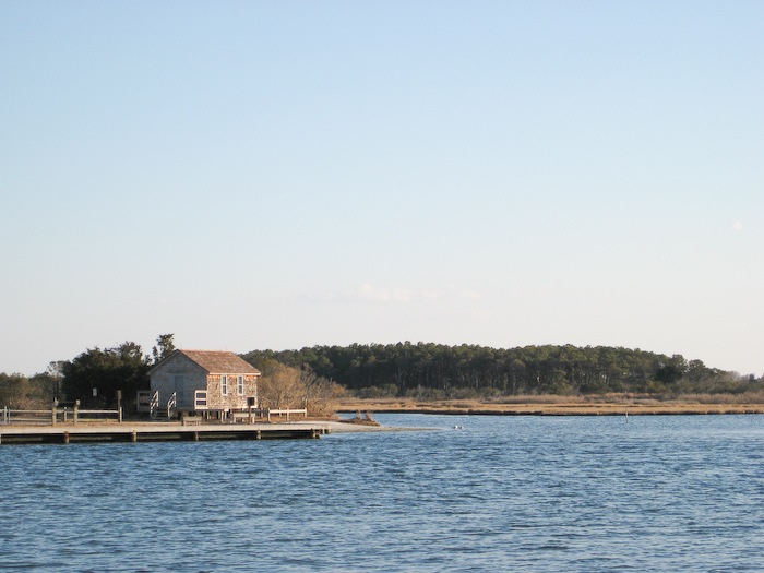 AssateagueIsland_09_02_08_27