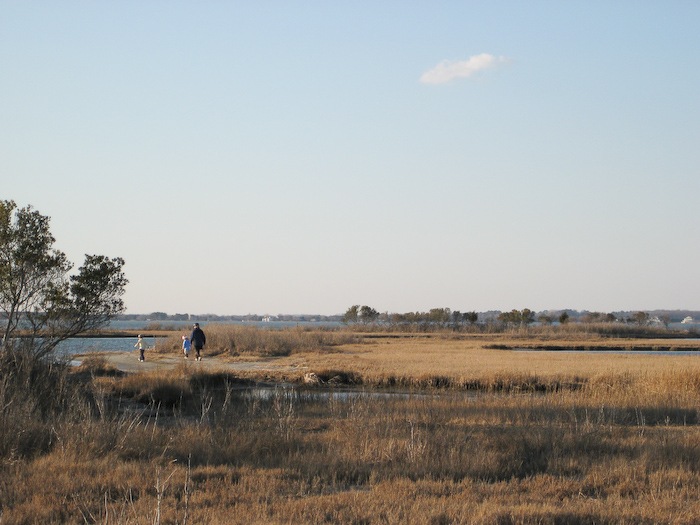AssateagueIsland_09_02_08_28