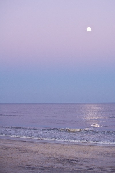 AssateagueIsland_09_02_08_30