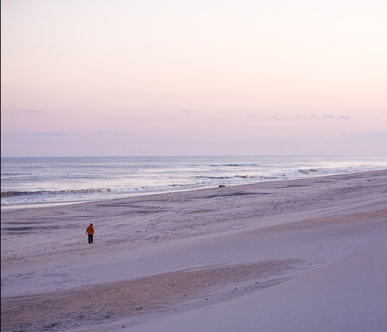 AssateagueIsland_09_02_08_31