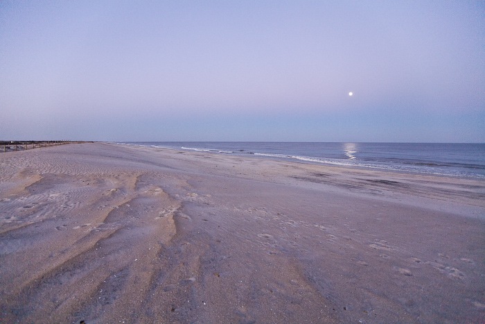 AssateagueIsland_09_02_08_32