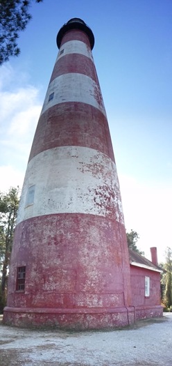 2011-11-27 11.18.30